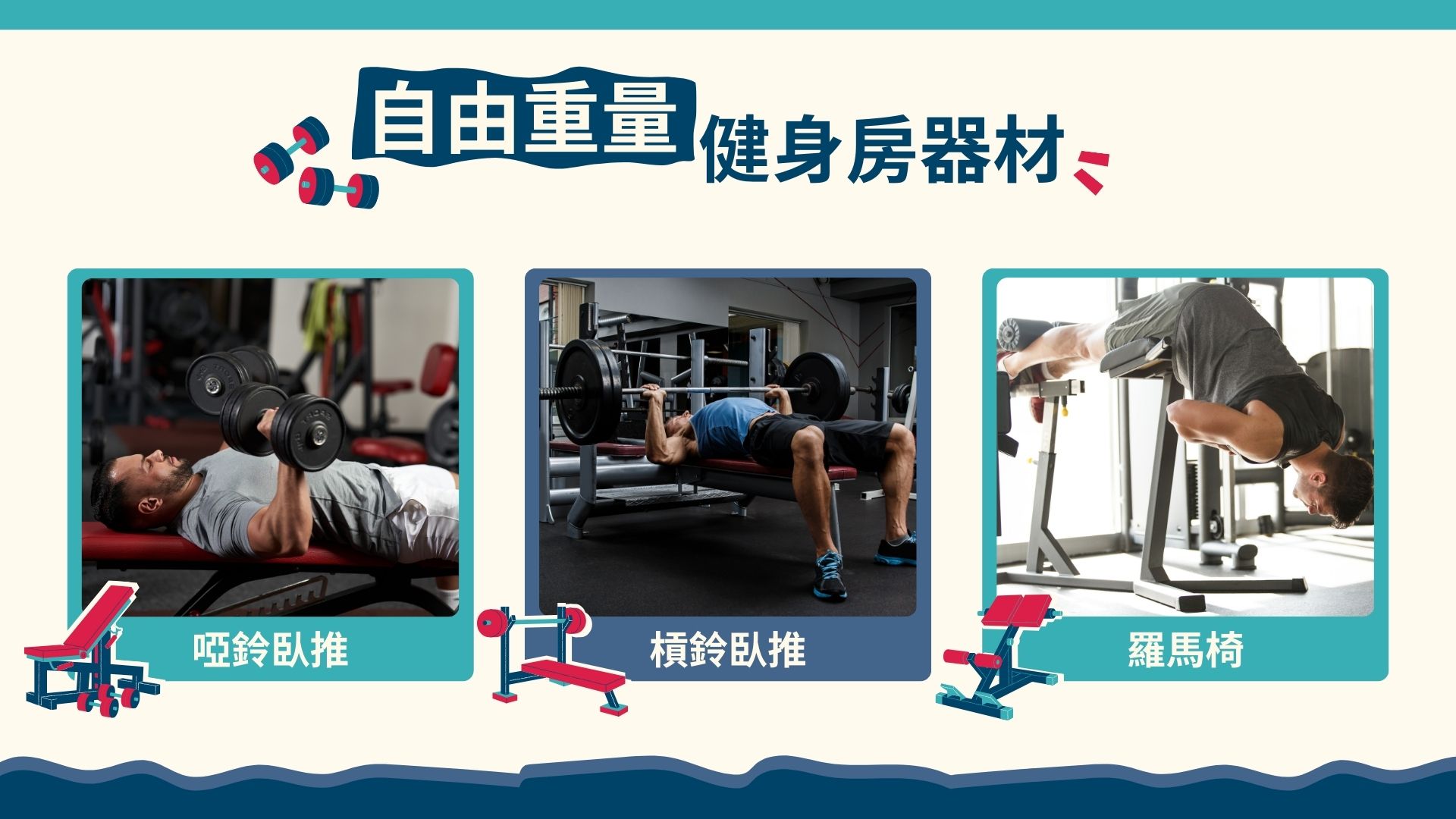 自由重量健身房器材